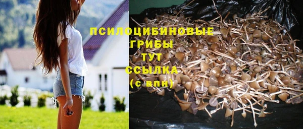 MDMA Аркадак