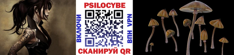 Галлюциногенные грибы ЛСД  Аркадак 